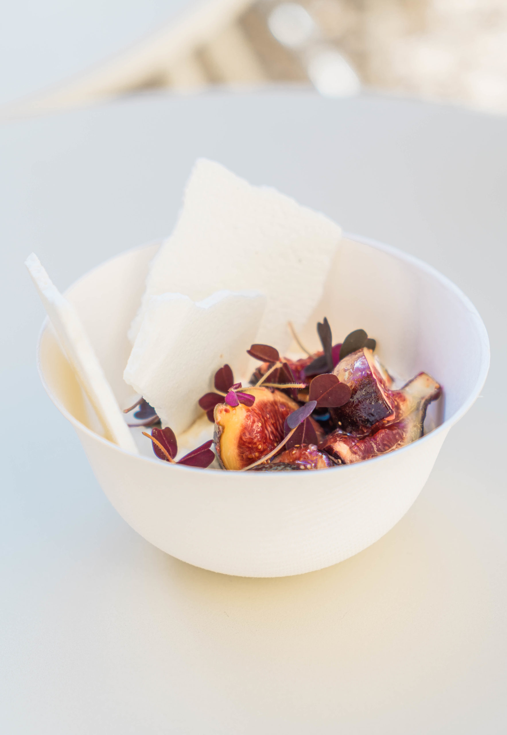 06_PAVLOVA_1