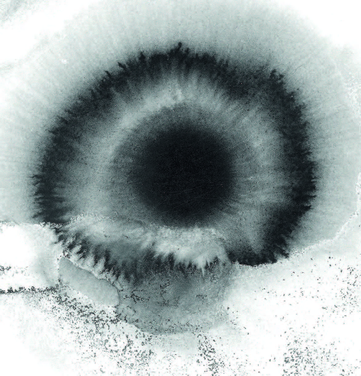 edith-baudrand-nocte#2